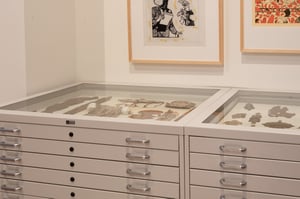 flat file museum shelving